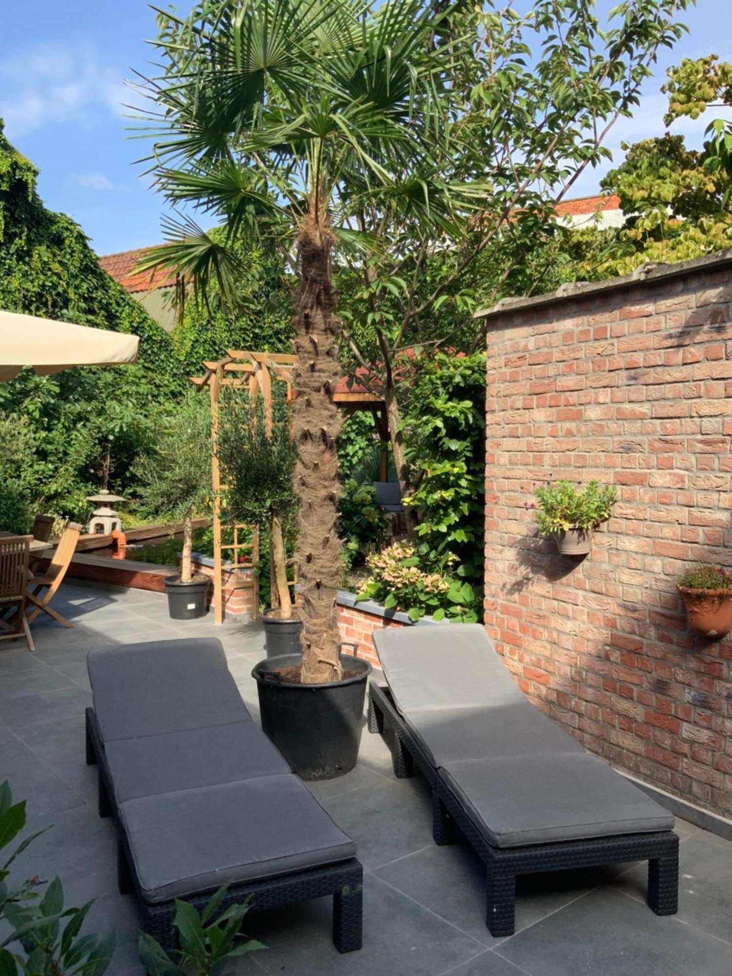 Freetimeflat Mies & Fien Apartment Gent Bagian luar foto